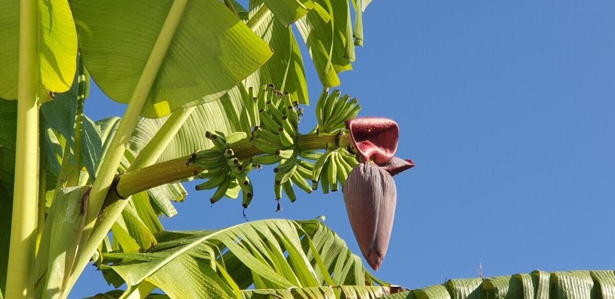Moana Breeze Rangiroa - Rental Car Included - Air Conditioning - Wi-Fi Tiputa Room photo