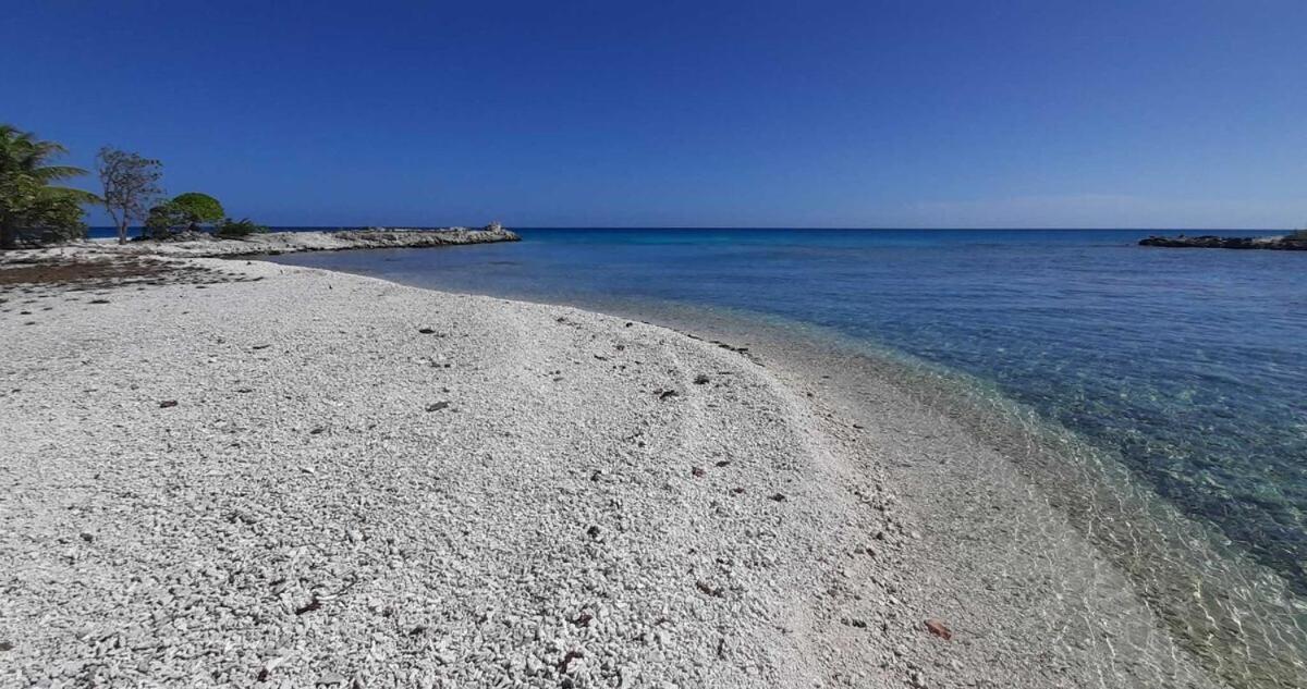 Moana Breeze Rangiroa - Rental Car Included - Air Conditioning - Wi-Fi Tiputa Room photo