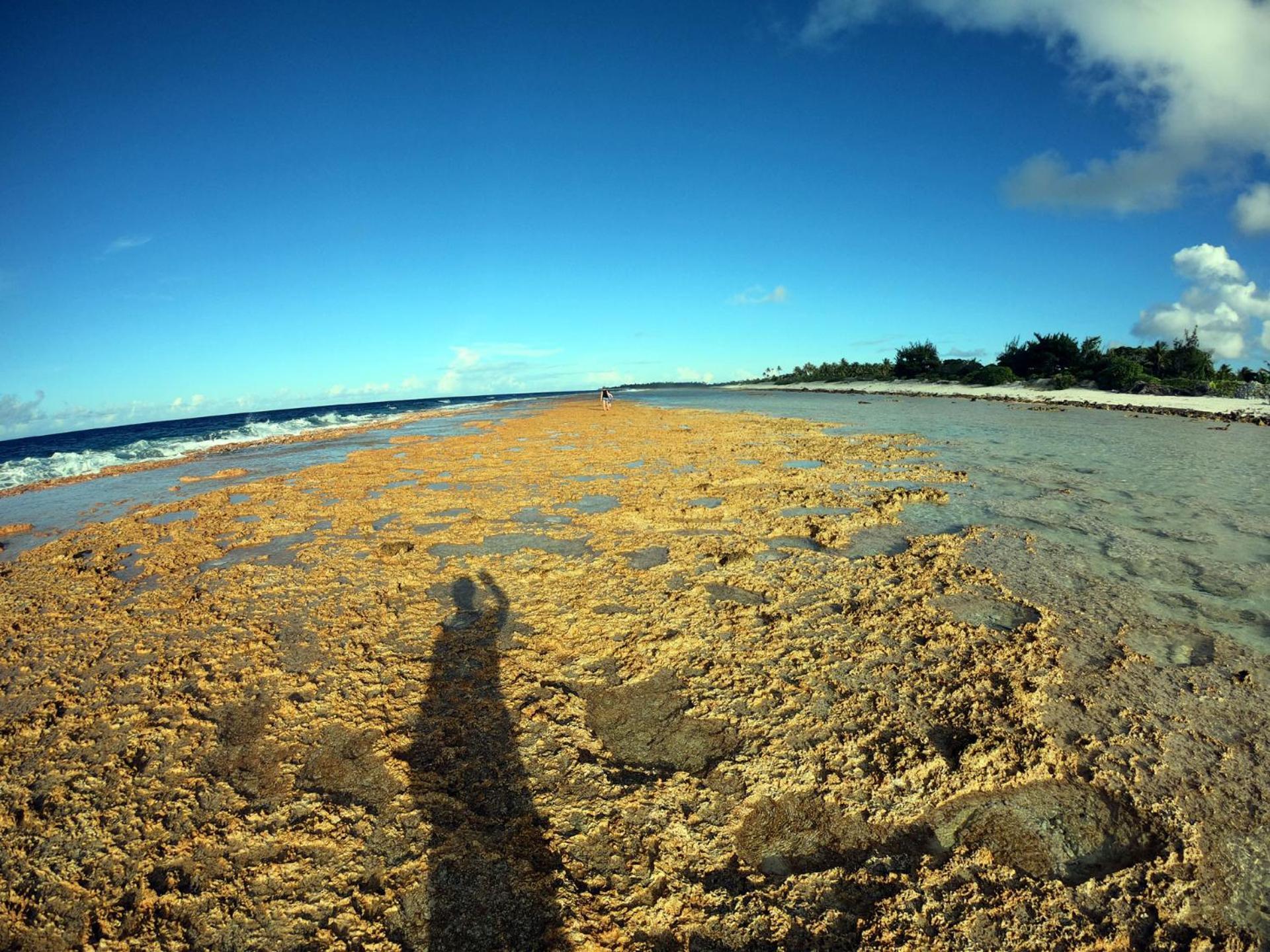 Moana Breeze Rangiroa - Rental Car Included - Air Conditioning - Wi-Fi Tiputa Exterior photo
